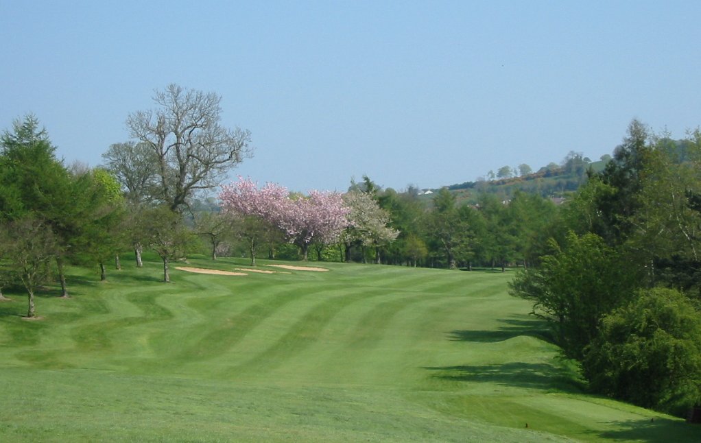 Spring Again