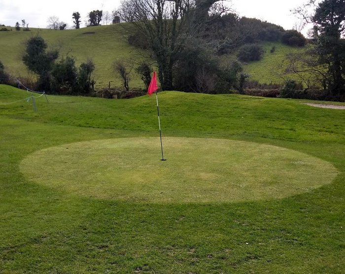 Temp Green - Much too Small