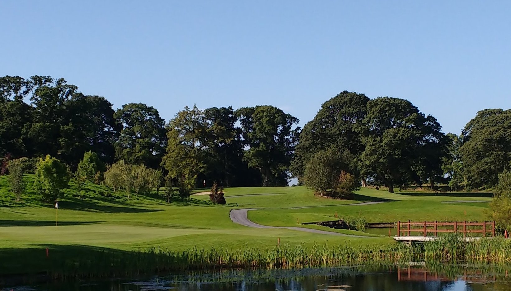 A golf green beside a pond, with a wooden bridge, reeds, and mature trees under a clear evening sky