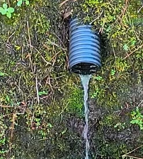 A drain outfall being checked to ensure water is flowing freely