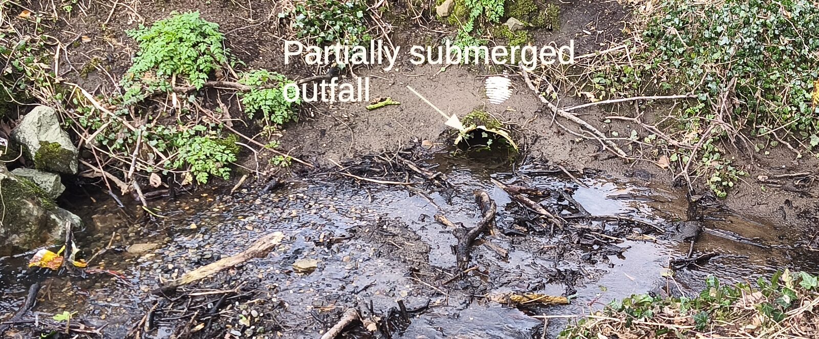 A drain outfall pipe discharging into a stream, partially submerged and marked with an arrow