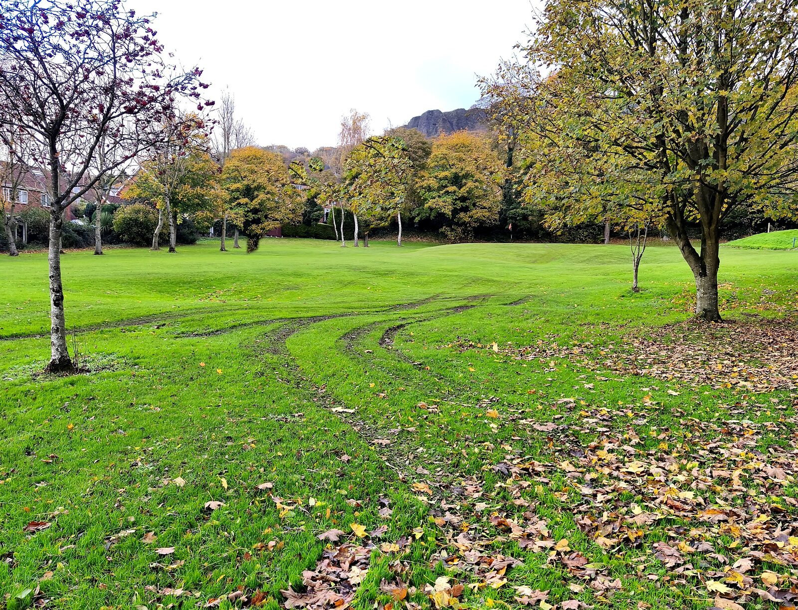 A curving line of machinery tracks worn into wet fairway turf, with residential rooftops and hills in the background
