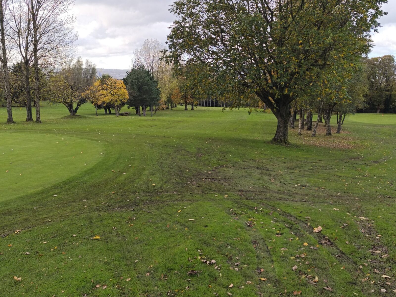 Worn, tracked grass at a green surround where machinery and foot traffic repeatedly cross the same line