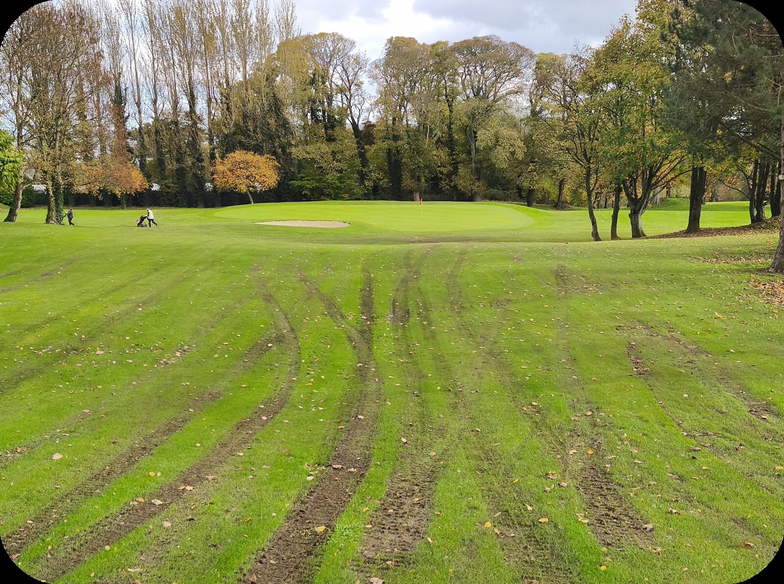A fairway heavily rutted by machinery tracks leading up to a green with a bunker, with two golfers walking in the distance