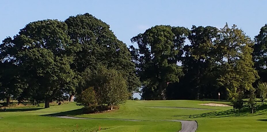 Mature oaks framing a green