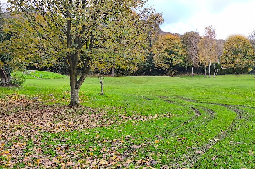 Fallen leaves lead to extra work and turf damage